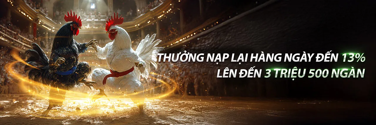 Đá Gà Trực Tuyến 789go - Sân chơi cá cược đỉnh cao